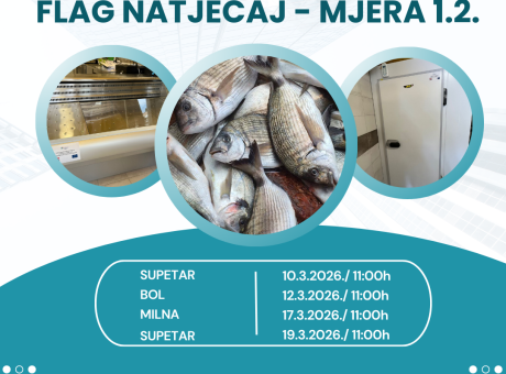 Teal Minimalist Meeting Invitation Instagram Post