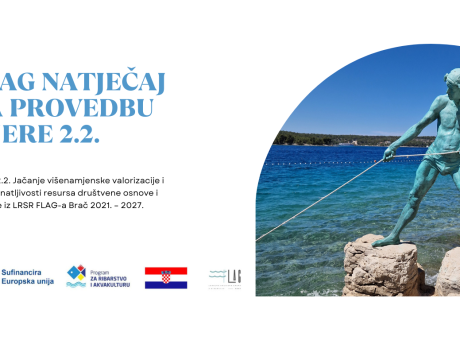 flag natječaj za provedbu mjere 2.2.